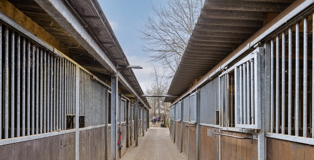 Schoterweg58314PXBant-41 - kopie.jpg